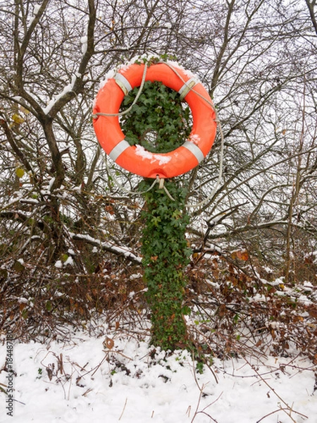 Fototapeta orange life buoy lake safety rope on stump outside in snow winter