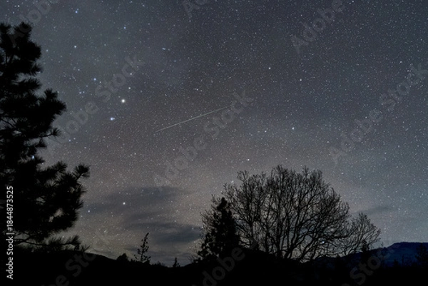 Obraz Geminids Meteor Shower Fireball Dec 13/14 2025