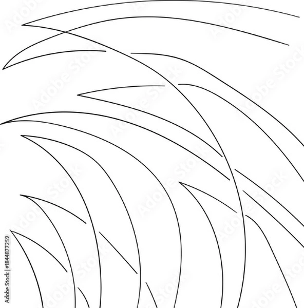 Fototapeta Adobe Illustrator Artwork with sharp plants or line art