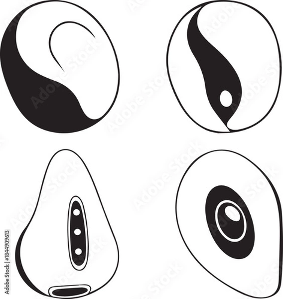 Fototapeta Stylish vector silhouettes of abstract organic seeds, highlighting unique internal structures in a clean black and white minimalist design, perfect for botanical graphic elements