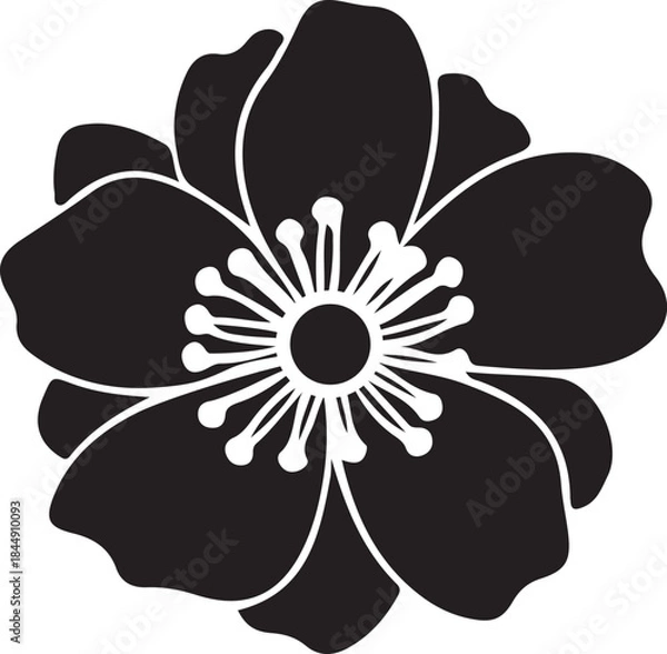 Fototapeta Elegant blooming flower silhouette vector design with intricate petals and a detailed stamen, perfect for decorative elements, logos, or graphic projects on a transparent background