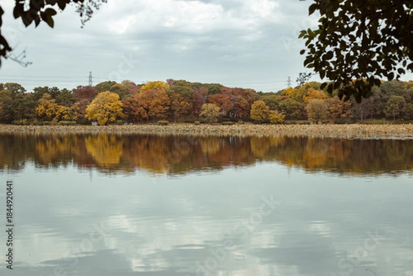 Obraz 水面に反射するカラフルに紅葉する樹木
