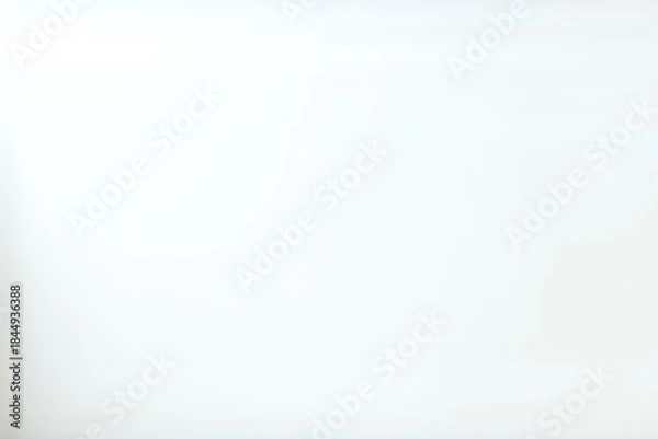 Obraz Minimalist Empty White Room Interior with Sunlight and Shadow