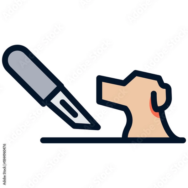 Fototapeta Surgical instruments for pet operations.