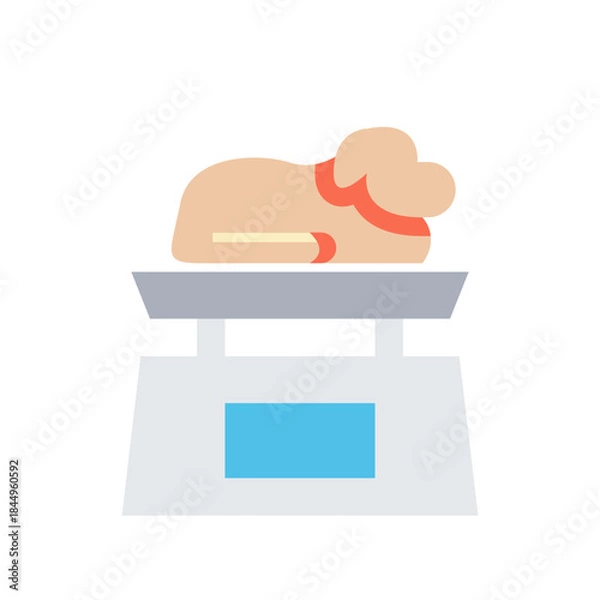 Fototapeta Scale to measure pet weight.