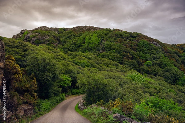 Obraz 2023-06-07 SMALL ROAD CUTTING THROUGH THE LUSH COUNTRYSIDE NEAR LAIRG WITH A CLOUDY SKY IN THE SCOTTISH HIGHLANDS