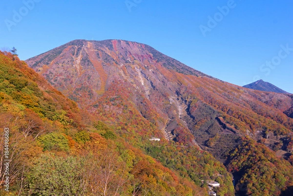 Obraz 奥日光　明知平から見た男体山の紅葉