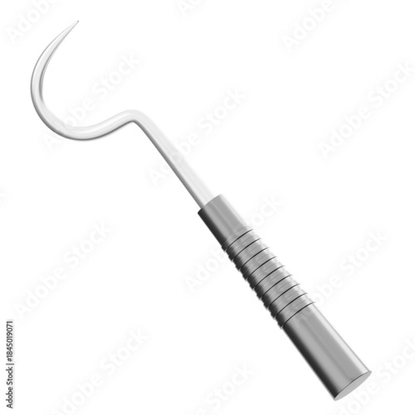 Obraz Dental Explorer Tool