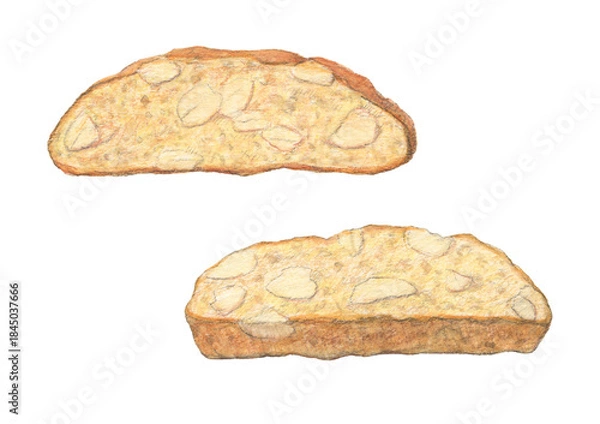 Fototapeta アーモンドビスコッティ　水彩色鉛筆イラスト