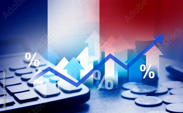 Fototapeta France investment , business income , financial policy