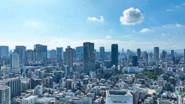 Obraz 現代都市と青空のドローン空撮