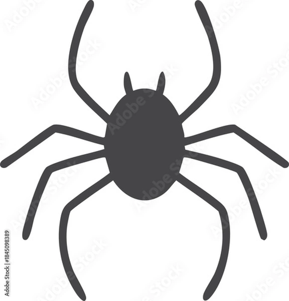 Fototapeta black spider isolated on white