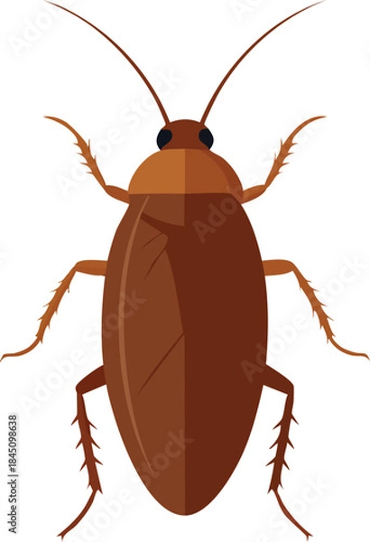 Fototapeta colorado potato beetle