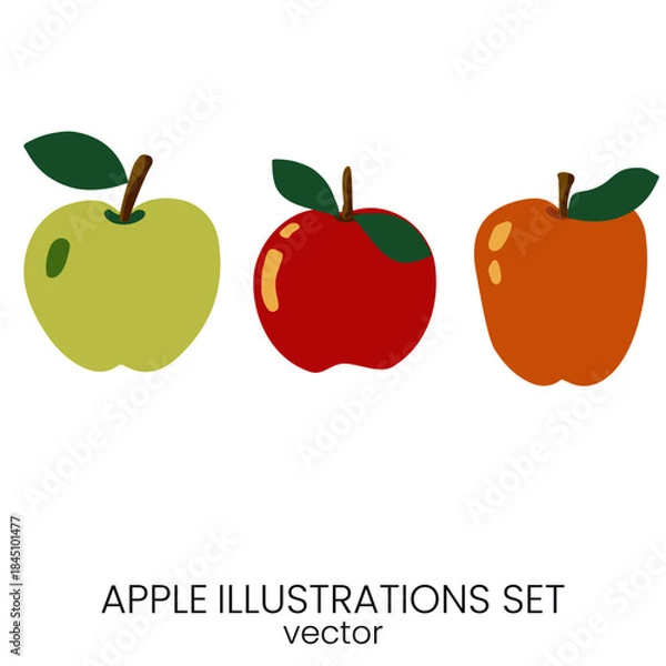 Obraz Apple fruit vector illustration set.