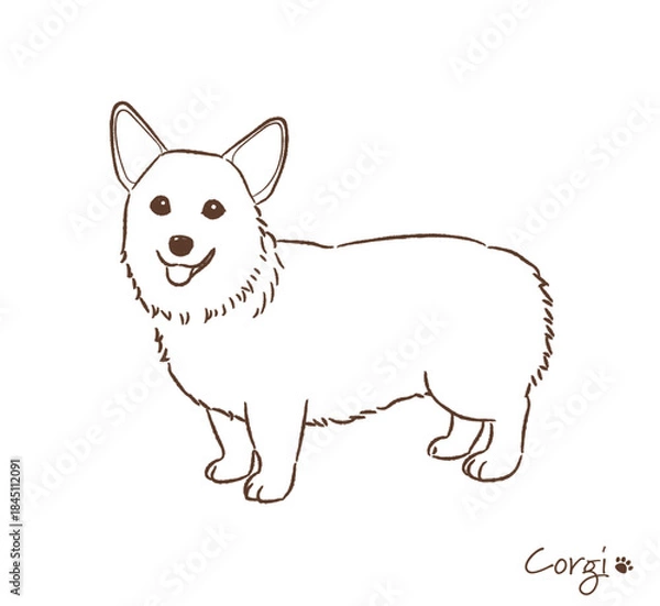 Obraz 手描きのコーギー線画_ベクターイラスト