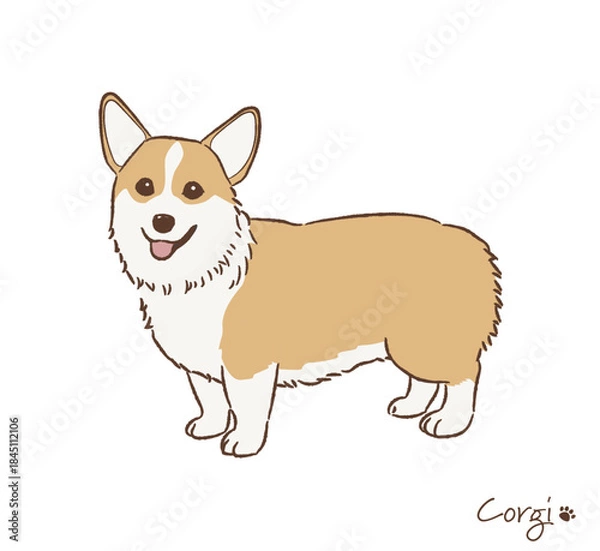 Obraz 手描きのコーギー_ベクターイラスト
