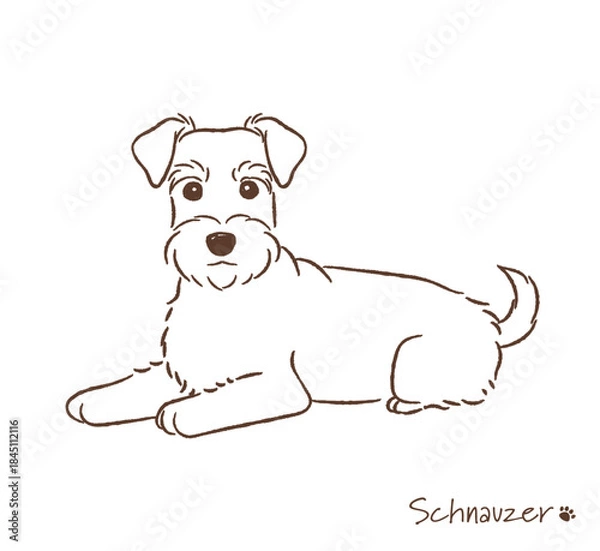 Obraz 手描きのシュナウザー線画_ベクターイラスト