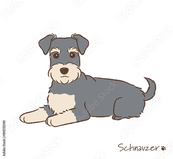 Obraz 手描きのシュナウザー_ベクターイラスト