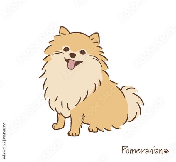 Obraz 手描きのポメラニアン_ベクターイラスト