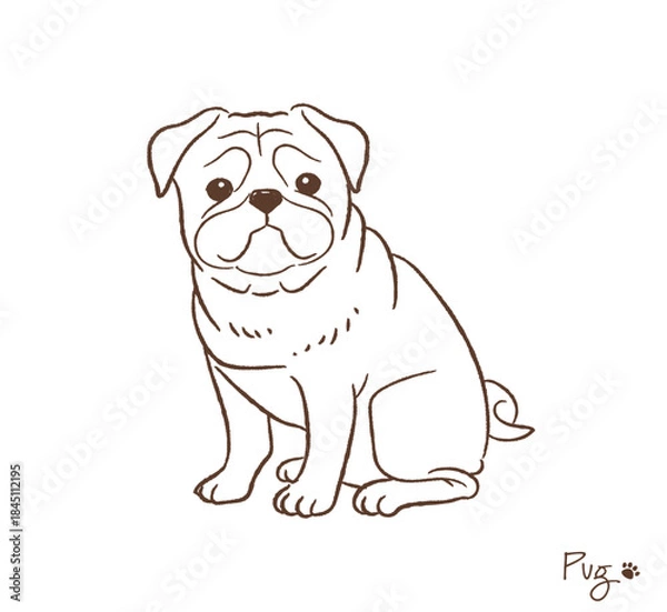 Obraz 手描きのパグ線画_ベクターイラスト