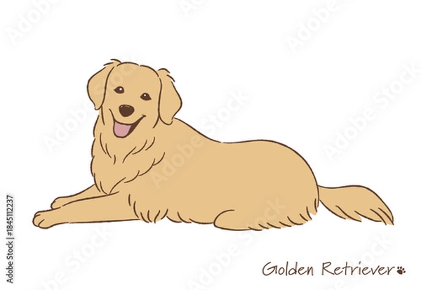 Obraz 手描きのゴールデンレトリバー線画_ベクターイラスト