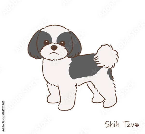Obraz 手描きのシーズー線画_ブラック＆ホワイト_ベクターイラスト