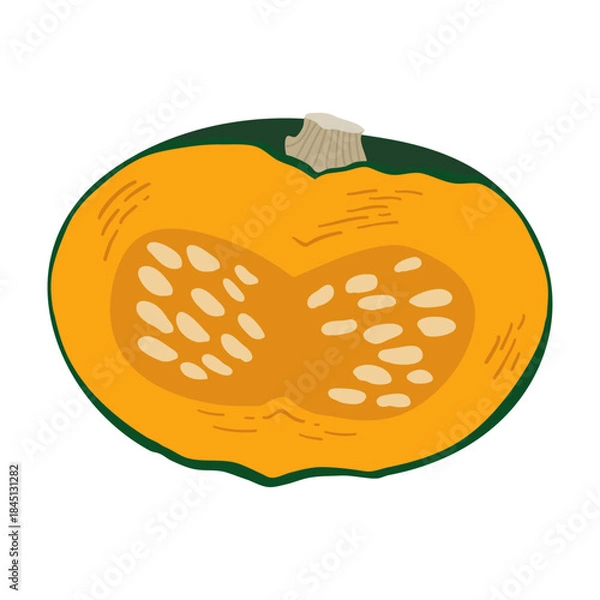 Obraz かぼちゃのイラスト　炭水化物の多い野菜