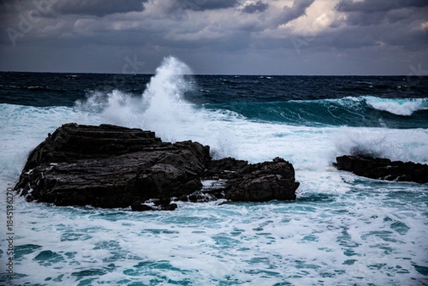 Obraz 奄美大島の冬の海。
