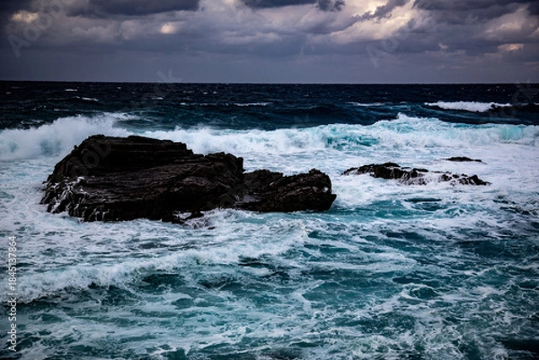 Obraz 奄美大島の冬の海。