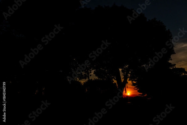 Fototapeta sunset over the forest 