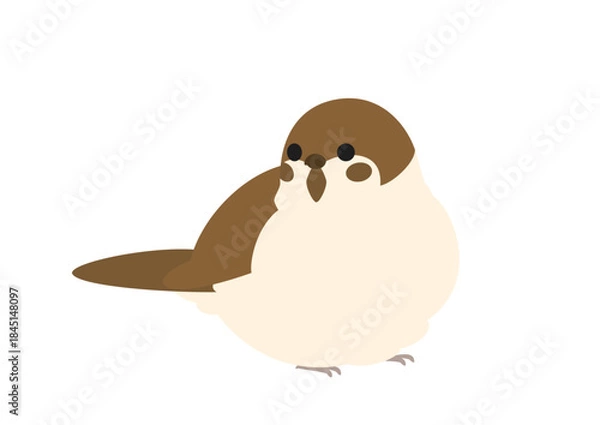 Fototapeta 横向きの丸くふくらんだスズメのかわいいイラスト