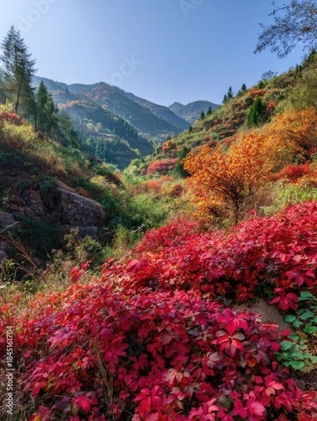Fototapeta Autumn leaves