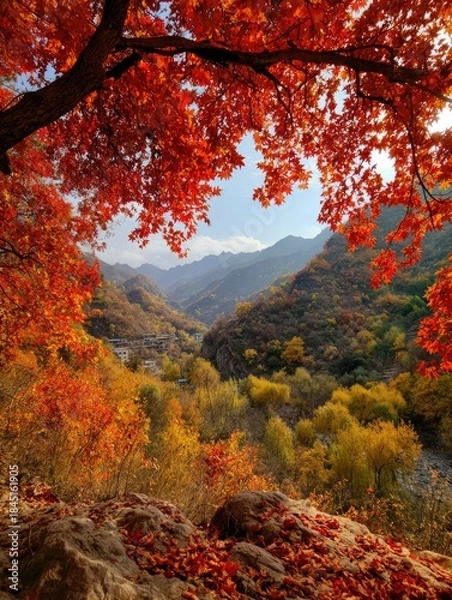 Fototapeta Autumn leaves