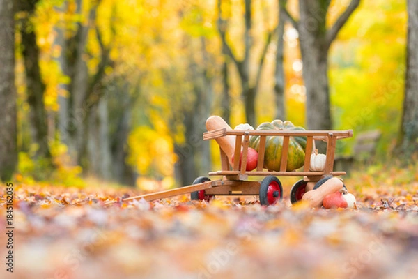 Obraz Kürbis im Leiterwagen