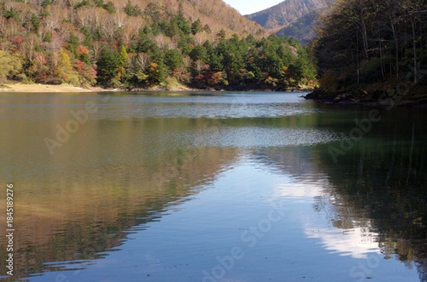 Obraz 冬枯れの森の散歩。陽だまりが優しい。マムシグサが朱色の実を付けたまま倒れていた。モノトーンの森の中、直射日光を浴びて、マムシグサはひと際鮮やかに目立っていた。森は、あたかも静かな長い眠りについているようだ。歩きつつ空を仰ぎ、足元のシダを眺め、樹木に絡みつく蔦を目で追った。ぐんぐん空に向かって伸びている蔦。誰も居ない森の中。でもたくさんの生命体が息づいている。私も息づいている。