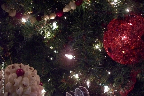 Obraz christmas tree with lights