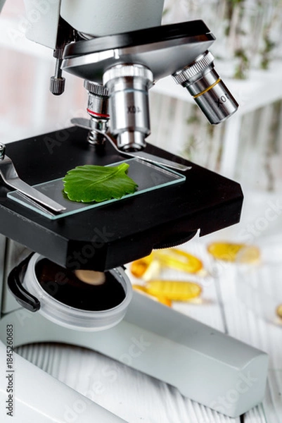 Obraz test plant samples on microscope slide close up