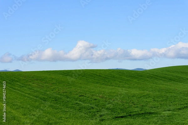 Obraz 秋の美瑛の風景