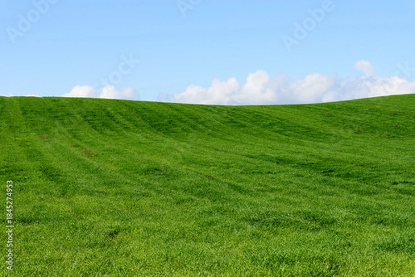 Obraz 秋の美瑛の風景