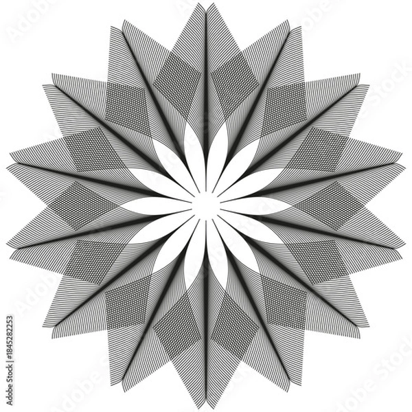 Fototapeta Radial star structure. Geometric line pattern. Dynamic Vector shape. Abstract explosion graphic.