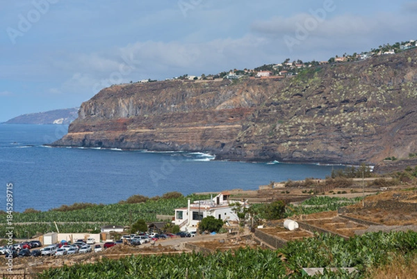 Obraz Coastal cliffs and banana plantation in Tenerife