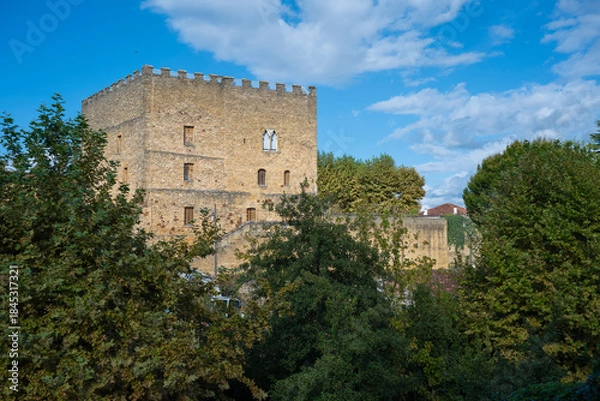 Fototapeta Lacataye Castle, a 15th-century structure located in Mont de Marsan, showcases impressive architecture.