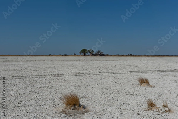 Fototapeta Salt pan of Nxai Pan National Park, Botswana