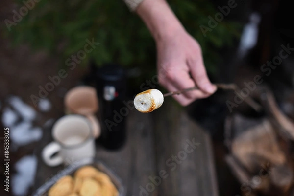 Obraz roasted marshmallow on a stick