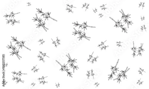 Fototapeta Minimalist Bamboo Branch Pattern - Simple and Elegant Nature Design