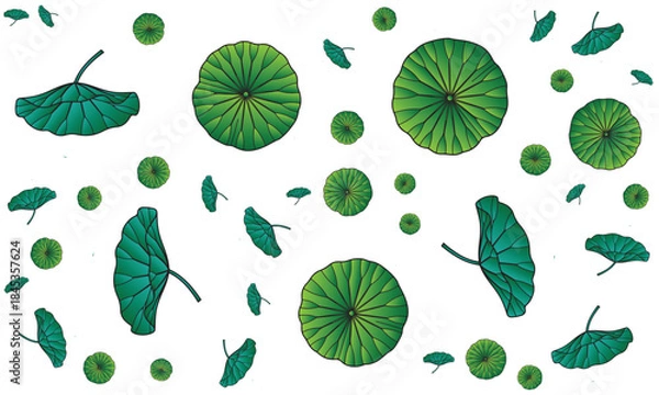 Fototapeta Beautiful Green Lotus Leaves pattern for summer decoration and design