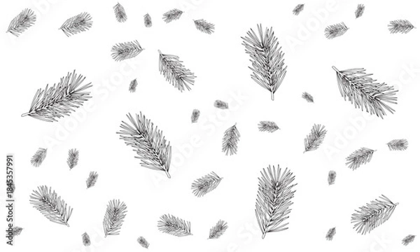Fototapeta Botanical illustration of falling fir tree needles, winter forest background