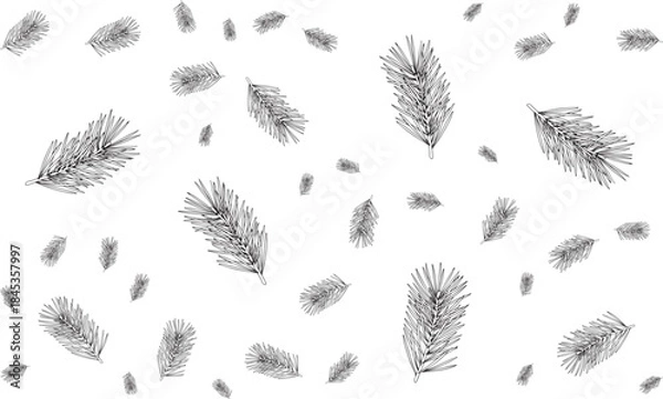 Fototapeta Hand-drawn fir tree branches and needles creating a festive winter holiday background