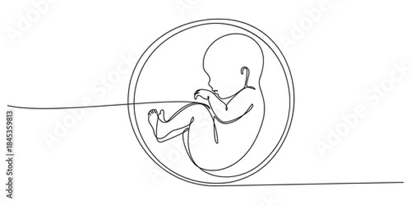 Fototapeta Baby embryo in womb, fetus one art line continuous drawing, Continuous line of fetus in womb.one line drawing of baby fetus in mother's stomach in gestational age.