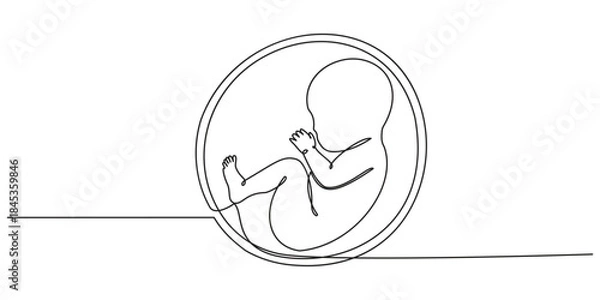 Fototapeta Baby embryo in womb one line drawing. Cute unborn fetus baby on mother womb isolated on white background, Baby embryo in womb in one continuous line drawing. Healthy pregnancy and premature symbol